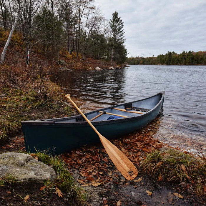 Bending Branches Beavertail Canoe Paddle leaning up against canoe by a lake