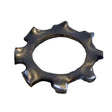 Palm Equipment M8 Star Locking Washer