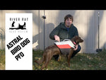 Astral Birdog Buoyancy Aid